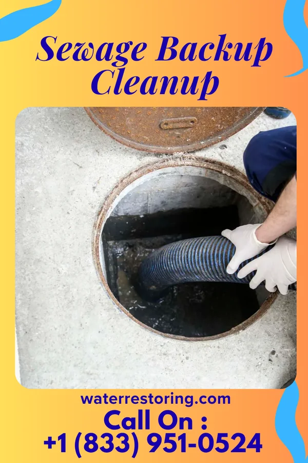 Sewage Backup Cleanup in Peculiar, MO