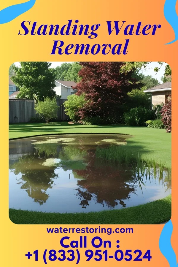 Standing Water Removal in Peculiar, MO
